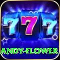 andy flower - Supreme v2.8.3