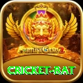 cricket bat Gaming Ultimate