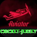 cricket jersey - Champion v1.4.2