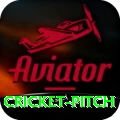 cricket pitch Live Elite v2.1.1