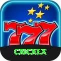 crickex Cash Master