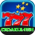 croaker fish - Live Pro