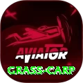 grass carp PK Super