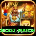 india pakistan cricket match - Mega v5.6.7