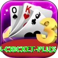 india pakistan cricket - Deluxe v5.5.9