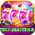 india upcoming cricket matches Legend PK v5.6.2
