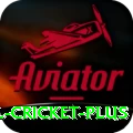 international cricket Live Royal v1.1.9