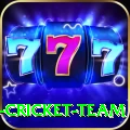 ireland cricket team - VIP Ultimate