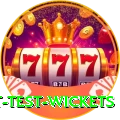 most test wickets Deluxe v2.7.0