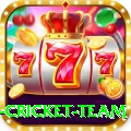 netherlands cricket team APK Max v4.4.6