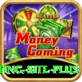 Pakistan Betting Site Slots Elite v1.2.6