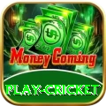 play cricket VIP Jackpot