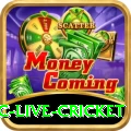 smartcric live cricket Turbo Rewards