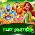 test match Gaming Mega
