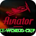 u19 cricket world cup Earn Pro v4.9.7