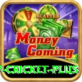 v cricket Prime Latest v1.6.4
