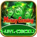 watch live cricket Turbo - Casino & Slots
