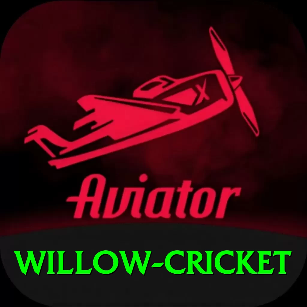 willow cricket Gaming Super - 2